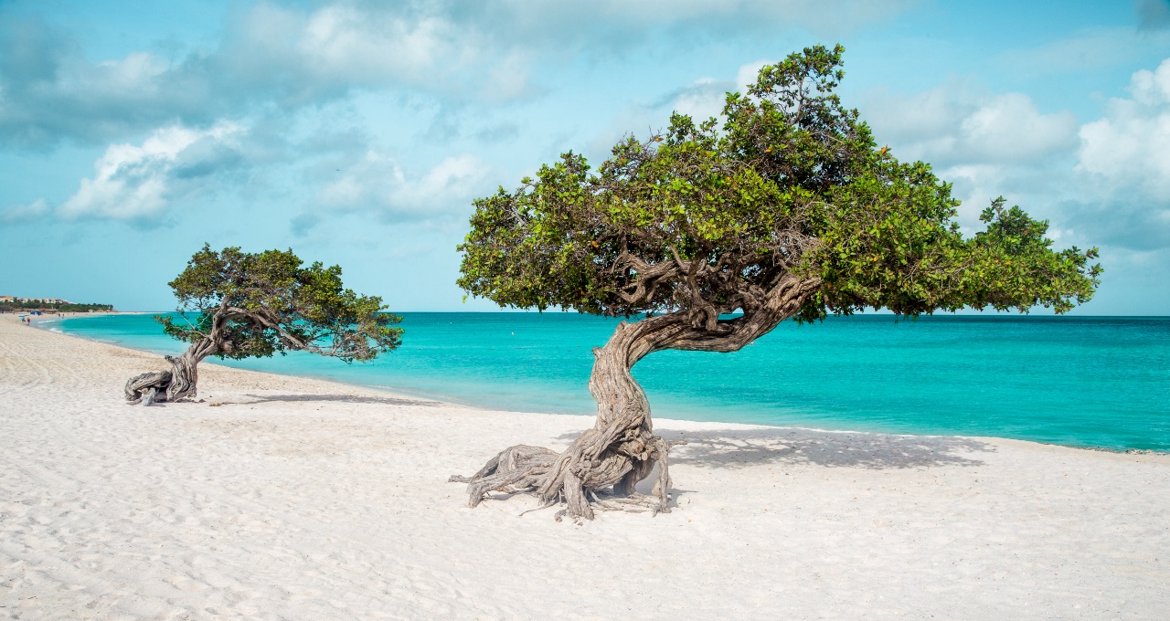 Signature image for the country Aruba.