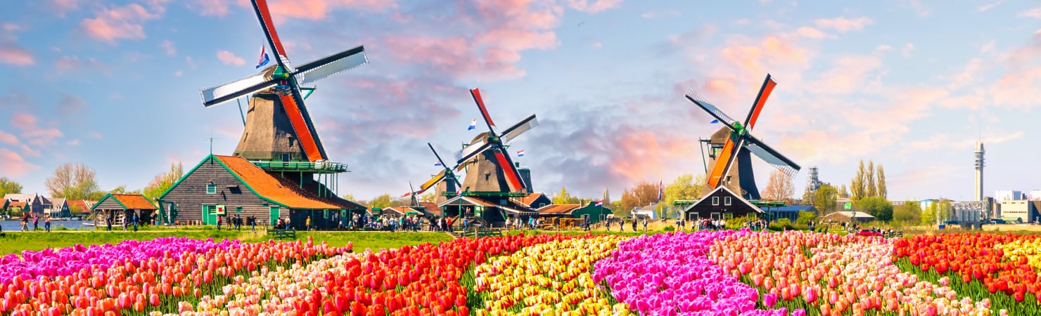 Signature image for the country Netherlands.